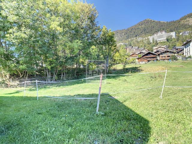 Grundstück kaufen in Leysin, Waadt