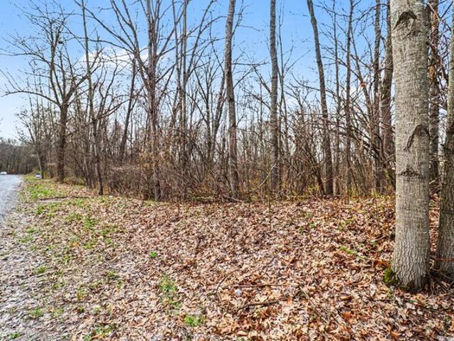 Land for sale in Cedar Springs, Michigan