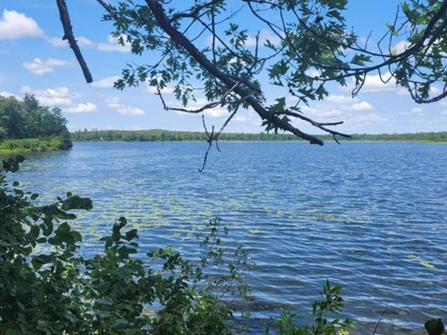Land for sale in Longville, Minnesota
