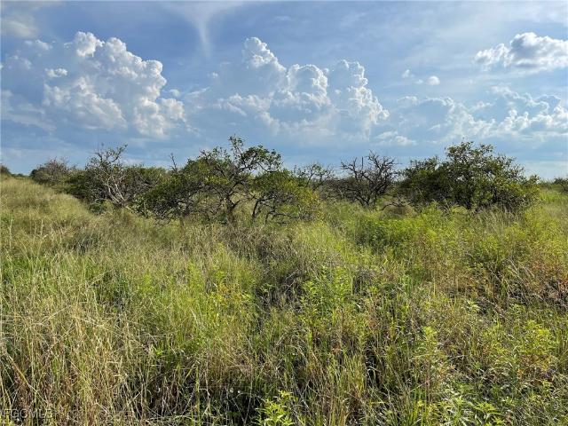 Land for sale in Labelle, Florida