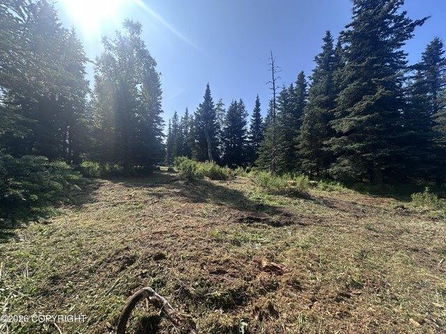 Land for sale in Anchor Point