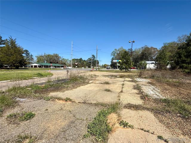Land for sale in Geneva, Alabama