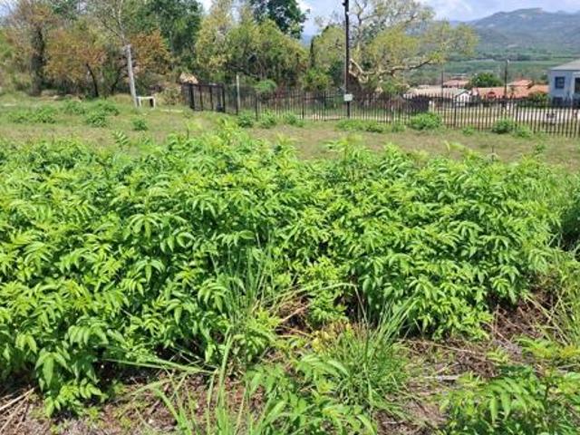 Land for sale in Ehlanzeni, Mpumalanga