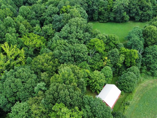 Land for sale in Trafalgar, Indiana