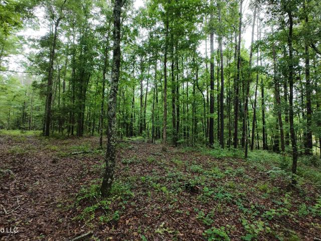 Land for sale in Forest, Mississippi