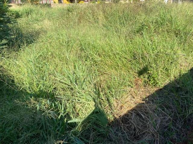 Land for sale in Potgietersrus, Limpopo