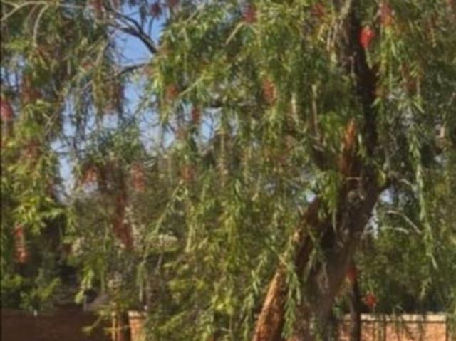 Land for sale in Naboomspruit, Limpopo