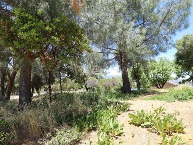 Land for sale in Lake, California