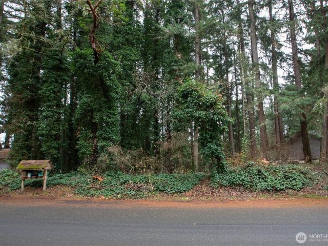 Land for sale in Thurston, Washington