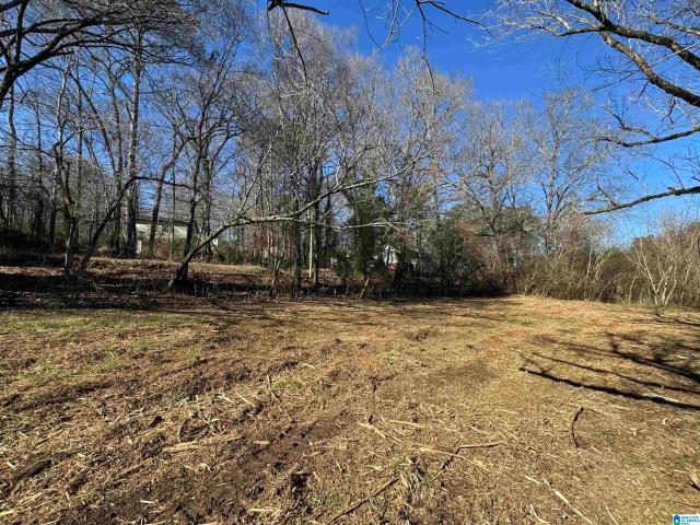 Land for sale in Confederate Estates, Clay