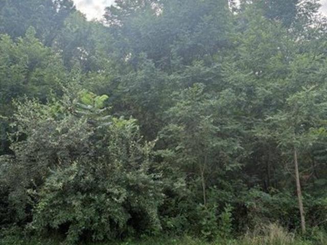 Land for sale in Virginia