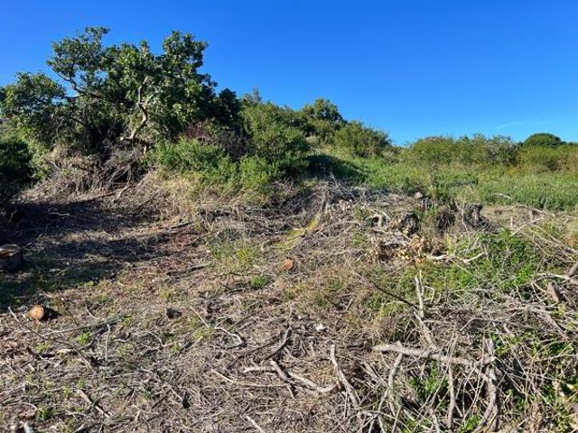 Land for sale in Cape St Francis, Eastern Cape