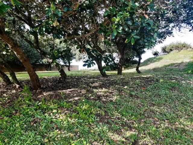 Land for sale in Cape St Francis, Eastern Cape