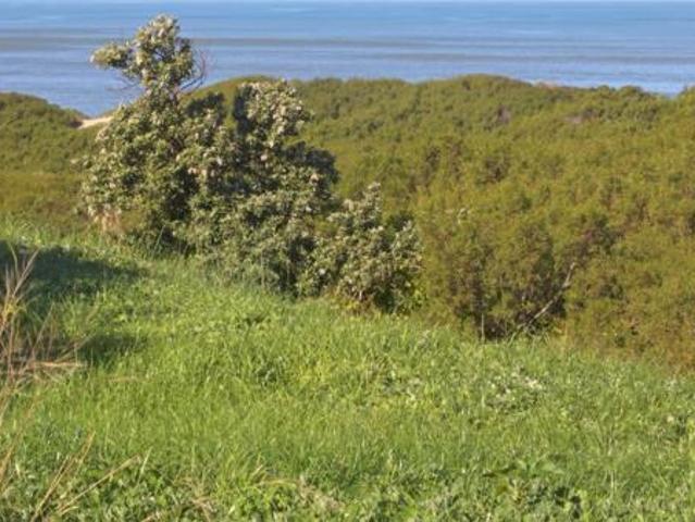 Land for sale in Cape St Francis, Eastern Cape