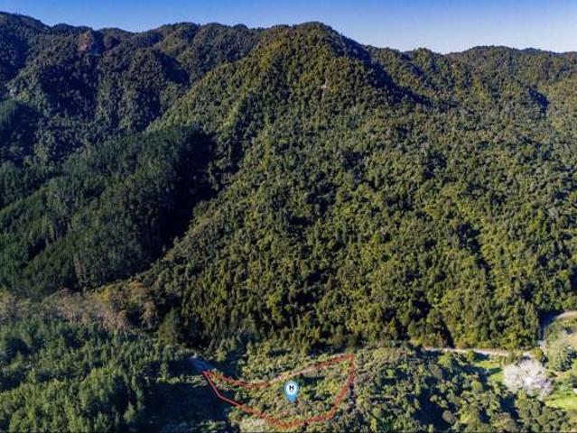 Land for sale in Coromandel, Waikato