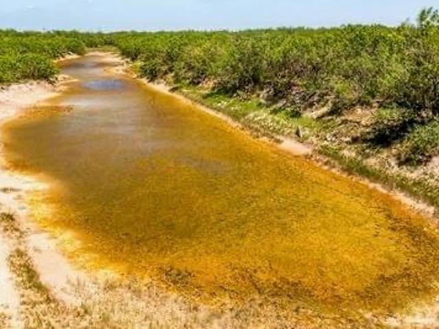Land for sale in Brooks, Texas