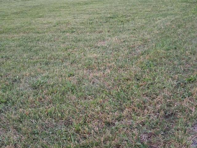 Land for sale in Flemingsburg, Fleming County