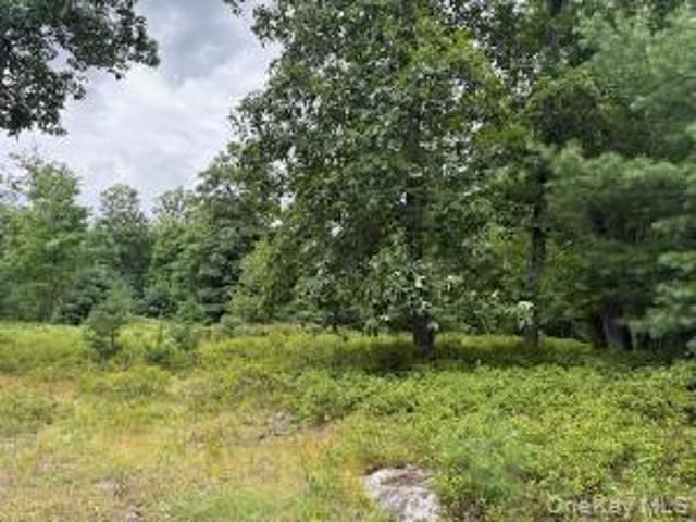 Land for sale in New York