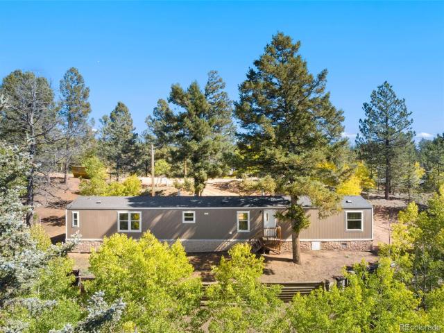 House for sale in Divide, Teller County
