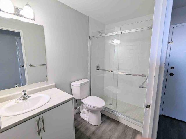 Apartment for rent in Arva, Ontario