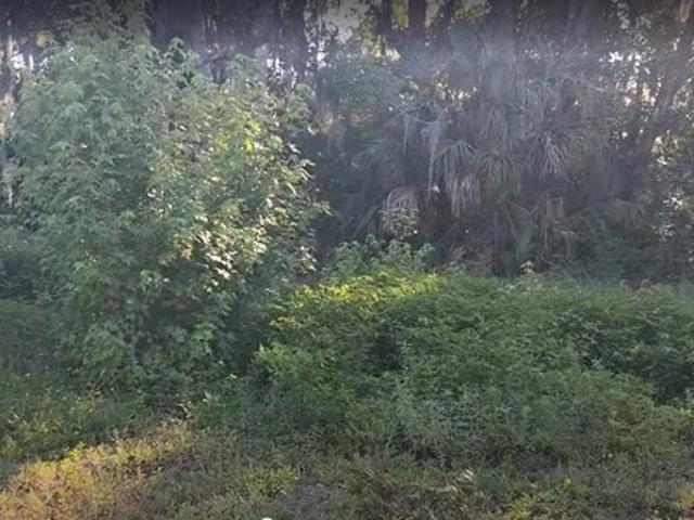 Land for sale in Saint Johns, Florida