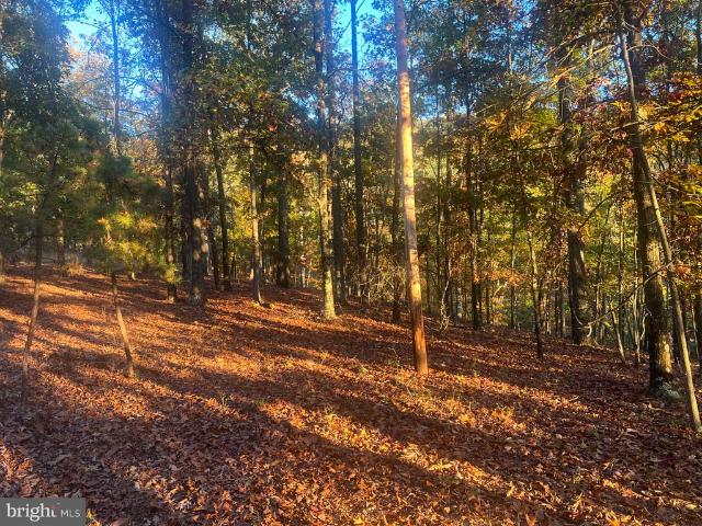 Land for sale in Morgan County, West Virginia