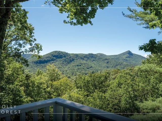 House for sale in Sapphire, Transylvania County