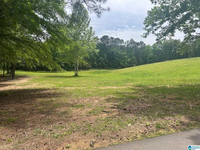 Land for sale in Alabama