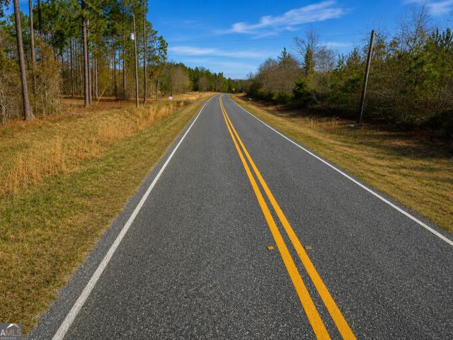 Land for sale in Dodge, Georgia