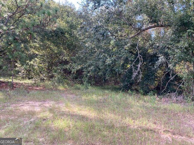 Land for sale in Eastman, Dodge County