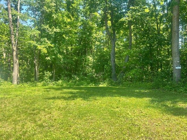 Land for sale in Morrison, Minnesota