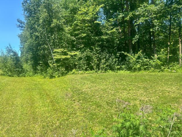 Land for sale in Morrison, Minnesota