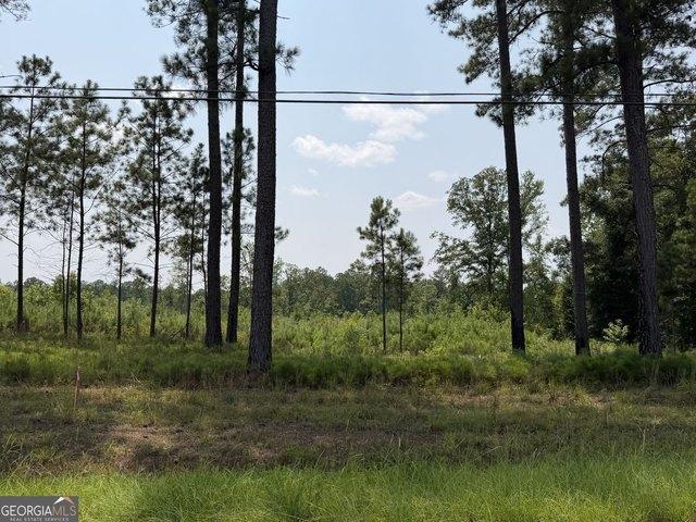 Land for sale in Forsyth, Georgia
