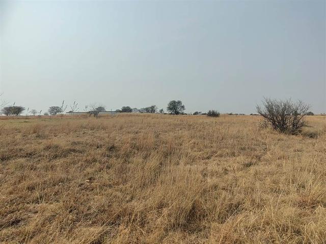 Land for sale in Koppies, Free State