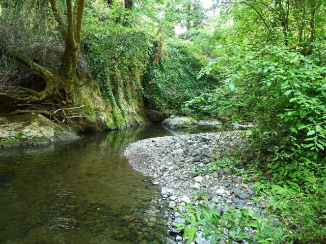 House for sale in San Mateo, California