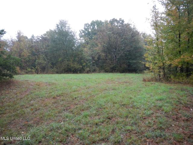Land for sale in Cruger, Mississippi