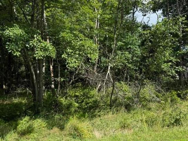 Land for sale in Blakeslee, Pennsylvania