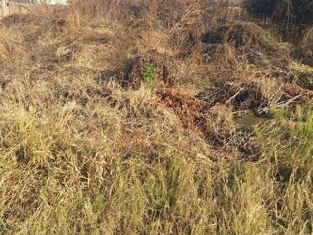 Land for sale in Potgietersrus, Limpopo