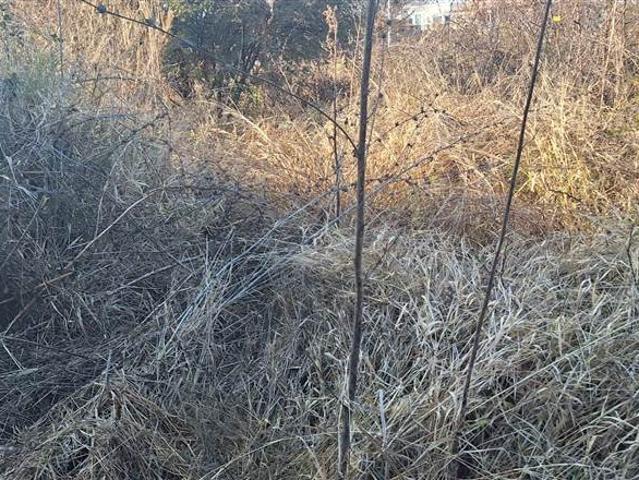 Land for sale in Potgietersrus, Limpopo