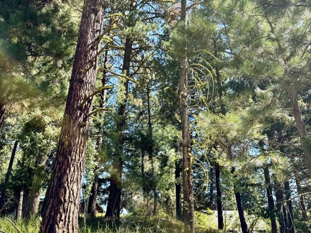 Land for sale in Mccall, Idaho