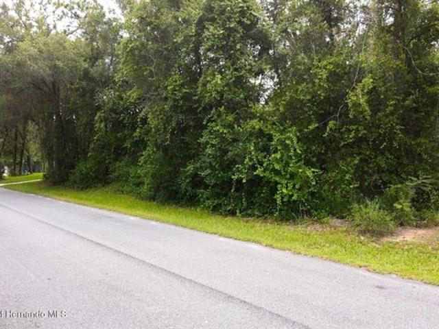 Land for sale in Hernando, Florida