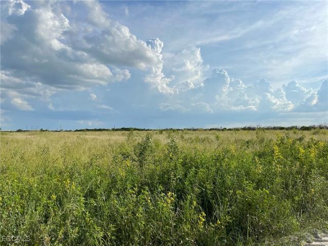 Land for sale in Florida