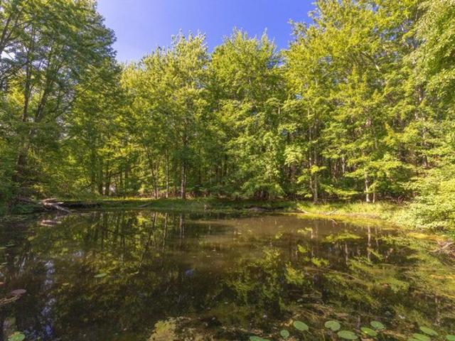 Land for sale in Fennville, Michigan