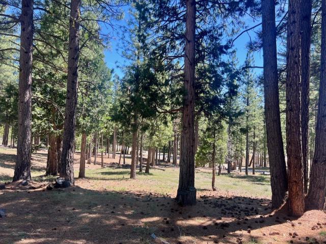Land for sale in California