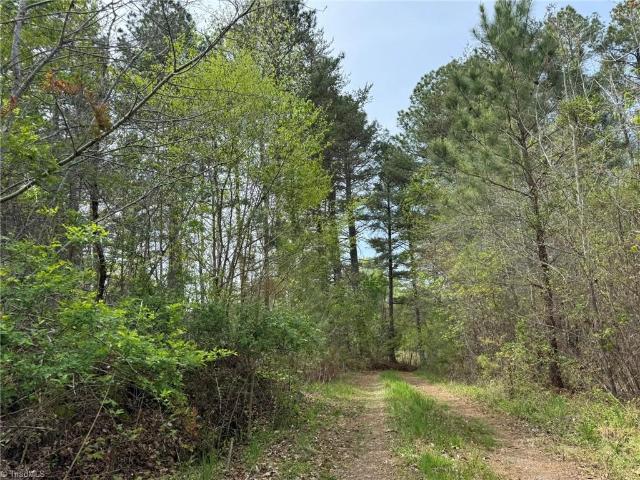Land for sale in Walnut Cove, Forsyth County