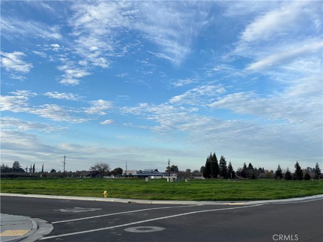 Land for sale in Glenn, California