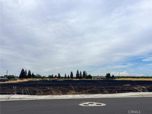 Land for sale in Glenn, California