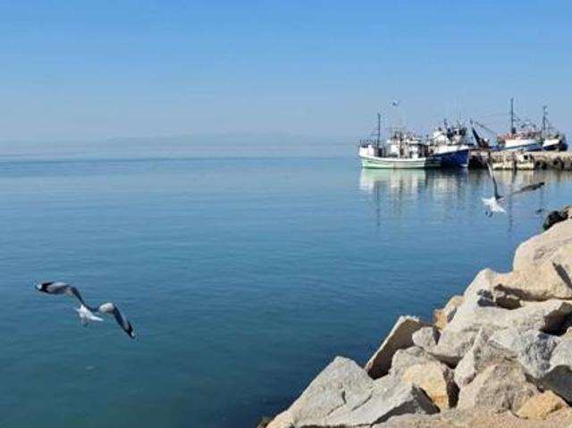 Land for sale in Western Cape