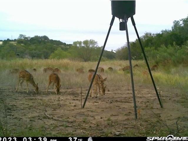 Land for sale in Bandera