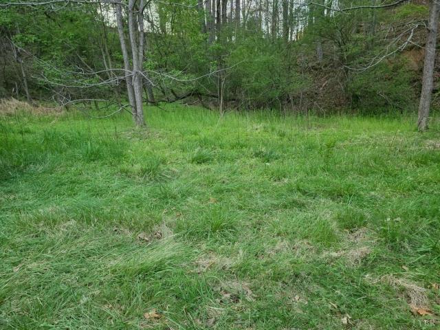 Land for sale in Boones Mill, Roanoke County